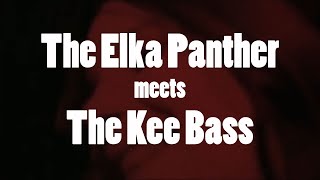 Elka Panther meets Rheem Kee Bass  Music by Lotuz [upl. by Slack428]