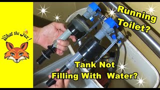 How to Install A Fluidmaster Toilet Fill Valve [upl. by Jerrilyn]