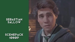 Sebastian Sallow from Hogwarts Legacy 1080p Scenepack  sallowsvfx scenepacks [upl. by Odlabu]