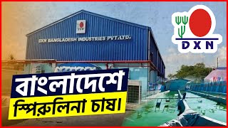 DXN বাংলাদেশের স্পিরুলিনা চাষ Secrets Revealed [upl. by Legin]