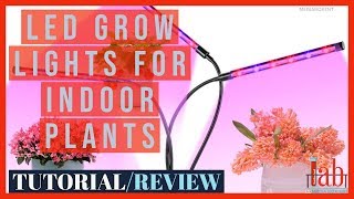 LED Grow Lights for Indoor Plants [upl. by Marasco546]