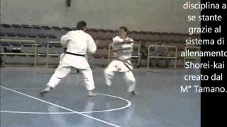 okinawa kobudo shorei kan tonfa jissen kumitem4v [upl. by Zat]