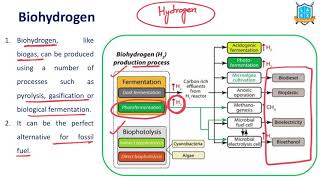 What is BioHydrogen   BioHydrogen అంటే ఏమిటి  La Excellence [upl. by Eserahs]