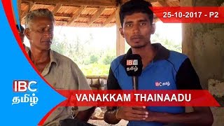 Alaveddy Jaffna  Vanakkam Thainaadu Part 02  25102017  IBC Tamil TV [upl. by Michelina]