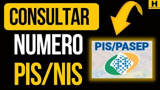 COMO CONSULTAR NÚMERO DO PIS ATUALIZADO [upl. by Esinel756]