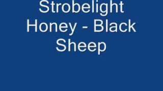 Strobelight Honey  Black Sheep [upl. by Etnuad]