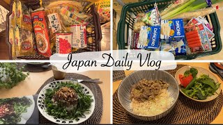 cozy days in my life  buy groceries at Kaldi try a new curry recipe salty leek pork bowl [upl. by Ellezig241]