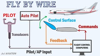 How the Fly By Wire System keeps an Aircraft safe amp How Flight Control Computers Operate [upl. by Quartas]