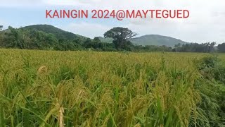 PALAY KAINGIN [upl. by Junno16]