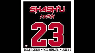 23  Miley Cyrus ft Juicy J and Wiz Khalifa ShashU Remix [upl. by Andel]