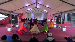 Indian Music and Dance festival 2013  NB Dance performance [upl. by Drofwarc]