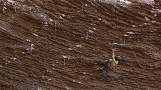 What These Climbers Found in Kentucky Was Not Fried Chicken  Lost in North America Ep 10 [upl. by Dalton424]