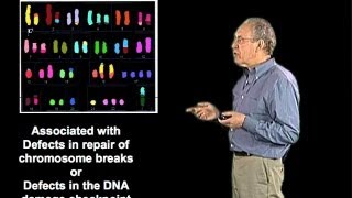 Defects in DNA repair proteins  Jim Haber Brandeis [upl. by Zendah]