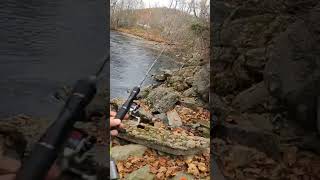 A Trout Location In Cherokee on Big Cove Rd [upl. by Dippold]