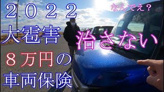 拝見となりのNBOX千葉ゆるオフ2023「2022大雹害。８万円の車両保険入ってるけど治さない。←なんでえ？」miyaさんのカスタム [upl. by Mateya24]