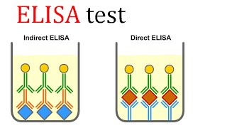 ELISA test [upl. by Ahmed356]