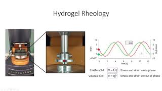 Hydrogel Characterization Lecture [upl. by Mallory884]