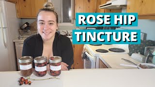 ROSE HIP TINCTURE  Learn to Make a Rose Hip Tincture Serum and a quotJamquot [upl. by Arsi580]