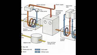 Pasteurisation  Technique to keep food safe amp last longer  Process of Pasteurization  its Science [upl. by Yrellav]