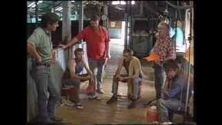 The Shearers and Rural Workers Union Australian Shearing 1995 [upl. by Anama]