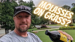 What is Molasses and Green Grass [upl. by Aniar]