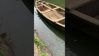 ക്ഷമ വേണം ഇതിന് fishing shorts youtubeshorts viralshorts [upl. by Dahc]