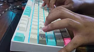 Typing Sound Mod DA Meca Warrior X RGB with Gateron Yellow [upl. by Ettennahs]