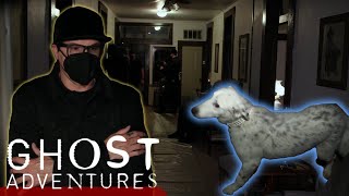 Ghost Adventures Full Episodes S22E11 Panic on Pine Street [upl. by Yuh]