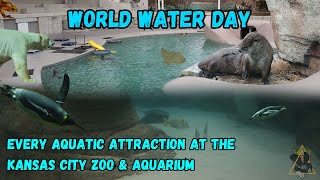 Why is the Ocean IMPORTANT in MISSOURI  World Water Day at the Kansas City Zoo [upl. by Airdnekal15]