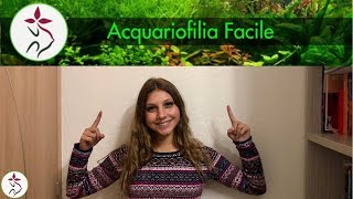 I PRIMI PASSI PER UN ACQUARIO FACILE parte 1 [upl. by Haraj]