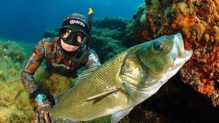 Pesca in apnea  Grosso branzino allagguato in schiuma  Pesce fulminato  Le requin [upl. by Koppel]