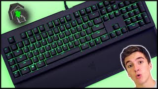 The Razer Blackwidow Chroma V2 Mech Gaming Keyboard [upl. by January621]