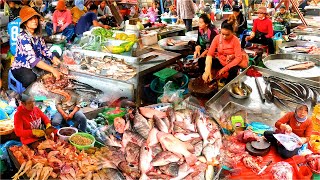 Cambodian Fresh Fish Market in Daily Life Sugar Apple Fish Vegetables Pork and More [upl. by Ellehcer761]