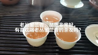 老丛蜜兰香，品质非常好。有喜欢喝老丛蜜兰香的茶友吗？ [upl. by Llertnahs]