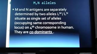 MN blood group Codominance [upl. by Mossberg]