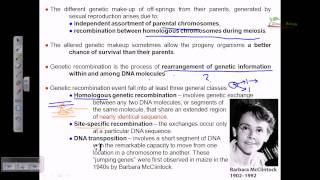 recombination introduction [upl. by Hyde]