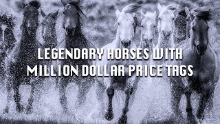 Incredible Stories of The Legendary Horses with MillionDollar Price Tags [upl. by Noli]