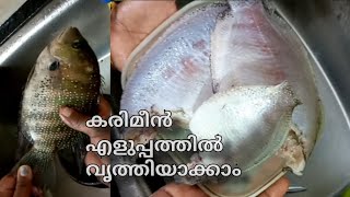 കരിമീൻ എളുപ്പത്തിൽ വൃത്തിയാക്കാംeasy way to clean karimeen or pearl spot fishnithu and nami [upl. by Lebbie]