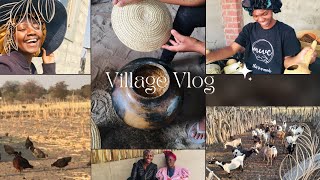 Realistic Village Vlog Spend a few days with meNamibian YouTuber [upl. by Allanson778]