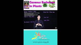 Gaseous Exchange in Plants I [upl. by Avad]