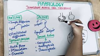 transport across cell membrane physiology  part 1 [upl. by Concettina180]