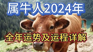 属牛人2024年全年运势及运程详解 [upl. by Hirai92]