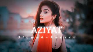 Aziyat  Pratyush Dhiman Ft Jahnvi Rao LYRICS [upl. by Analem]