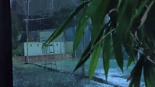 Insomnia Relief in 3 Minutes with Heavy Rain and Powerful Rain  Sound Treatment From Nature ASMR [upl. by Gilburt557]