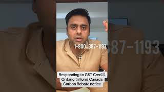 Responding To CRA notice for World Income  GST credit and other benefits in Canada [upl. by Acimad]