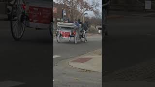 Christmas parade champaign Horse ride🎶🌟🎵✨️ [upl. by Hare751]