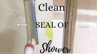 HOW TO CLEAN THE SHOWER SCREEN SEAL  SHOWER SCREEN DEEP CLEAN [upl. by Rafaelof80]