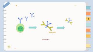 Omalizumab [upl. by Vaientina]