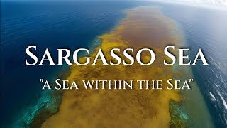 Sargasso Sea A Floating Landless Wonder  Watch to Believe [upl. by Cordy]