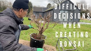 Difficult Decisions When Creating Bonsai [upl. by Itagaki]